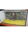 Szögletes akvárium beépített dekorációval 200 liter